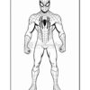Spider-Man stands in a confident pose, wearing his iconic red and blue costume with a spider emblem on his chest.
