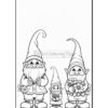 Three gnomes stand together: a tall gnome with a blue hat and beard, a shorter gnome with a red hat and flowers, and a small gnome with a green hat holding a flower.