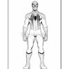 Spider-Man standing confidently, showcasing his iconic suit, ready for action. The outline is designed for coloring.