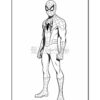 Spider-Man stands confidently in a classic pose, wearing his signature red and blue costume adorned with a spider emblem.