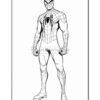 Spider-Man in a full-body pose, showcasing his detailed costume and iconic web pattern.