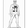 Spider-Man stands in a heroic pose, wearing his iconic red and blue suit with a black spider emblem on his chest.