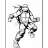 A muscular turtle character, wearing a mask and shoulder pads, stands confidently with a raised fist, ready for action.