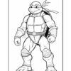 A muscular turtle character with a red bandana and armor, standing confidently with clenched fists.