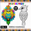 Coloring page featuring two detailed bird mandalas, suitable for a coloring book, from artcoloringpage.com with free coloring pages.