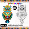 Coloring book featuring beautifully designed birds mandala illustrations, promoting free coloring pages at artcoloringpage.com.