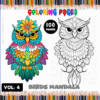 Coloring pages featuring intricate bird mandalas, ideal for coloring books or free coloring pages from artcoloringpage.com.