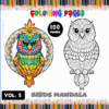 Coloring page featuring a colorful bird mandala and a black and white owl design, from artcoloringpage.com, promoting free coloring pages.