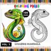 Dive into Tranquility: Mandala Lizard Coloring VOL 3
