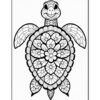 A turtle with a mandala design on its shell, featuring a friendly expression and intricate patterns.