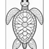 A detailed black and white outline drawing of a turtle featuring intricate patterns on its shell and body, suitable for coloring.