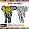 Vibrant elephant mandala coloring page for a coloring book, featuring intricate designs. Visit artcoloringpage.com for free coloring pages.