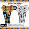 Elephant mandala coloring pages with vibrant designs, available for free download from artcoloringpage.com in a 100-page coloring book.
