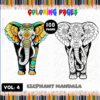Elephant mandala coloring page featuring a colorful design and a black and white version for coloring, available at artcoloringpage.com.