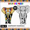 Elephant mandala coloring pages from artcoloringpage.com, featuring intricate designs for a coloring book with free coloring pages.