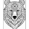 A detailed line art illustration of a bear's head, featuring intricate floral patterns and designs throughout its face and fur.