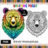 Two bear mandala designs, one colorful and the other in black and white, with decorative patterns.