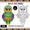 Embrace Serenity: Free Mandala Coloring Pages Bird