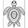 Line art of a turtle with a detailed shell design, featuring concentric patterns and a smiling face.