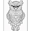 A detailed black and white owl illustration featuring intricate patterns and large, expressive eyes.