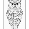 A detailed line art illustration of an owl with intricate floral designs and patterns throughout its feathers.
