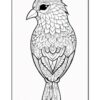 A detailed line drawing of a bird, featuring intricate patterns and designs throughout its body and wings.