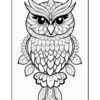 A detailed black and white illustration of an owl with ornate feathers and floral patterns surrounding it.