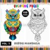 Immerse Yourself Coloring Pages Mandala Birds VOL 3