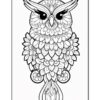 Intricate black and white illustration of an owl adorned with floral patterns.