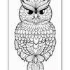 Coloring page featuring an intricately designed owl with decorative patterns and large expressive eyes.