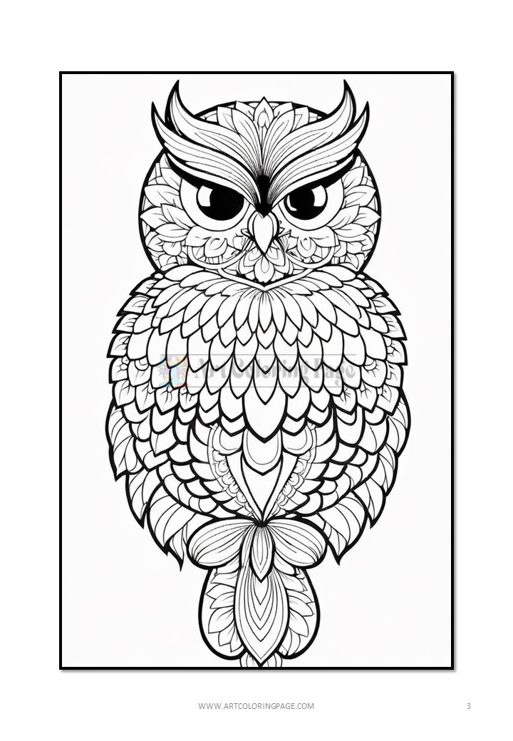 Coloring page featuring an intricately designed owl with decorative patterns and large expressive eyes.