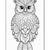 A detailed coloring page featuring an intricately designed owl with large eyes and feather patterns.
