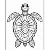Detailed black and white illustration of a turtle featuring intricate patterns on its shell and fins.