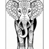 A detailed line drawing of an elephant with intricate patterns, facing forward, ideal for coloring.