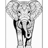 A detailed black and white illustration of an elephant adorned with intricate floral and pattern designs.
