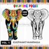 Peaceful Pachyderms Elephant Mandala Coloring VOL 3
