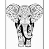 A detailed black and white coloring page featuring an ornate elephant surrounded by floral patterns.