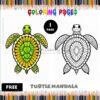 Set Your Creativity Free Free Mandala Coloring Turtle