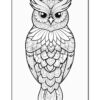 Detailed black and white illustration of an owl with intricate patterns and designs on its feathers, suitable for coloring.