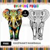 Tranquil Tusks Free Mandala Coloring Elephant