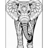 Black-and-white coloring page featuring a detailed, decorative elephant design with intricate patterns.