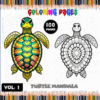 Turtle mandala coloring pages from a Mandala coloring book, featuring colorful turtle illustrations and artistic designs.