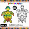 Turtle mandala coloring pages from artcoloringpage.com, featuring a colorful design and a black-and-white outline for creativity.