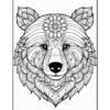A detailed black and white illustration of a bear's face, decorated with floral patterns and designs.