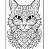 A detailed black and white illustration of a cat's face with intricate mandala patterns and floral designs surrounding it.