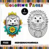 Two hedgehog designs are featured, one colored and vibrant with floral patterns, the other a black and white outline for coloring.
