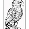 A detailed line drawing of a fierce-looking eagle, showcasing its prominent feathers and sharp beak.