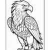 A detailed line art illustration of a majestic eagle with a fierce expression, featuring intricate feather patterns.