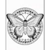 A detailed black and white coloring page featuring a butterfly with intricate patterns surrounded by a circular decorative border.