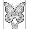 A detailed black and white line drawing of two butterflies, one large and intricate with floral patterns, and a smaller butterfly below.